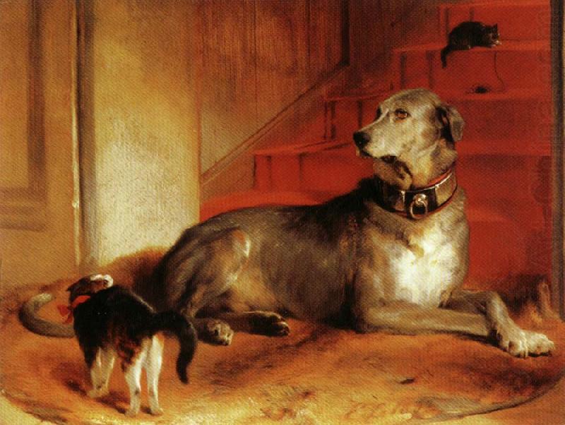 Sir edwin henry landseer,R.A. Lady Blessingham's Dog china oil painting image